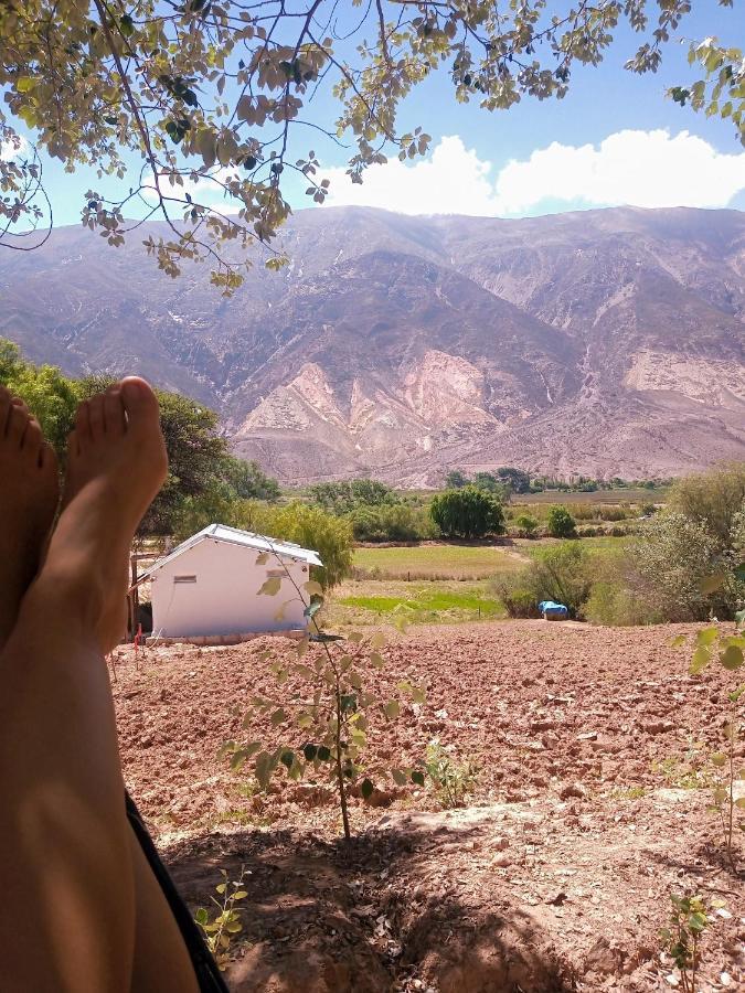 Dormir Con Llamas Maimará Kültér fotó