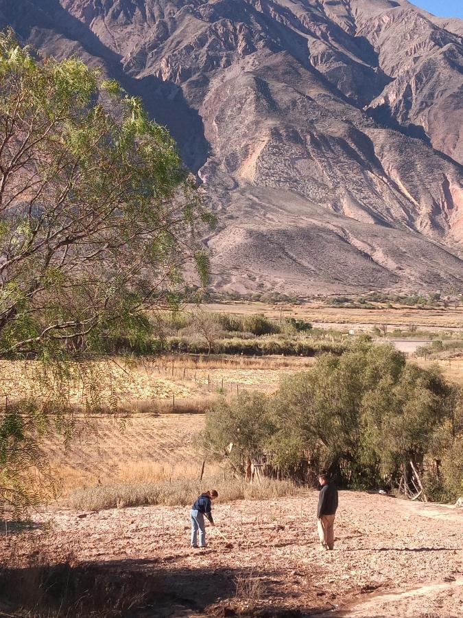 Dormir Con Llamas Maimará Kültér fotó
