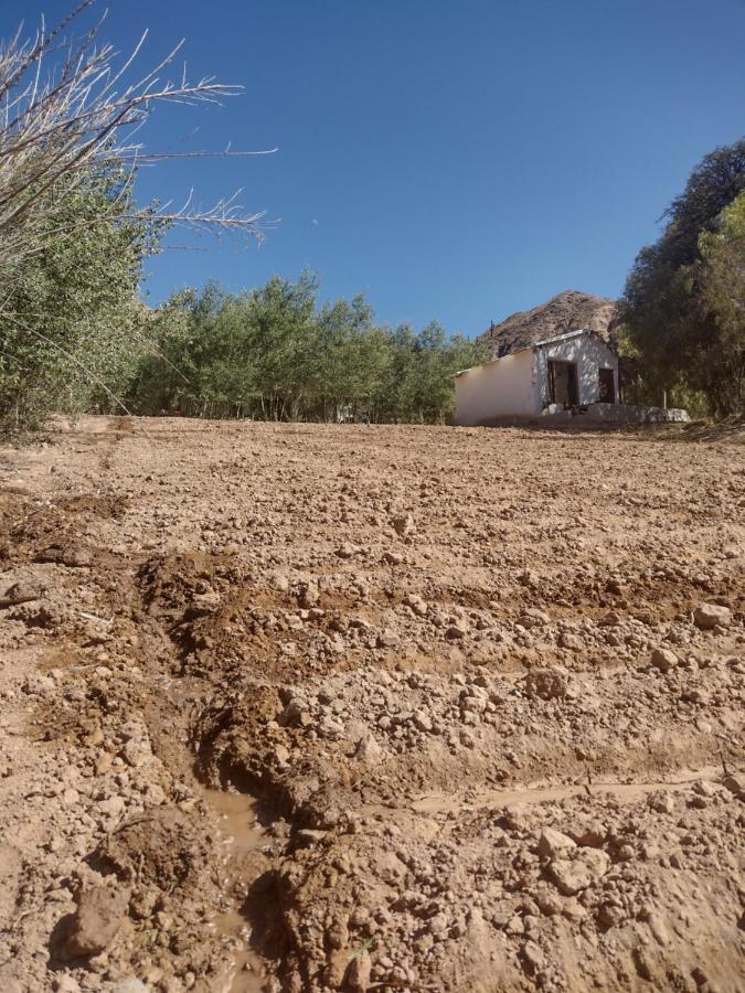 Dormir Con Llamas Maimará Kültér fotó