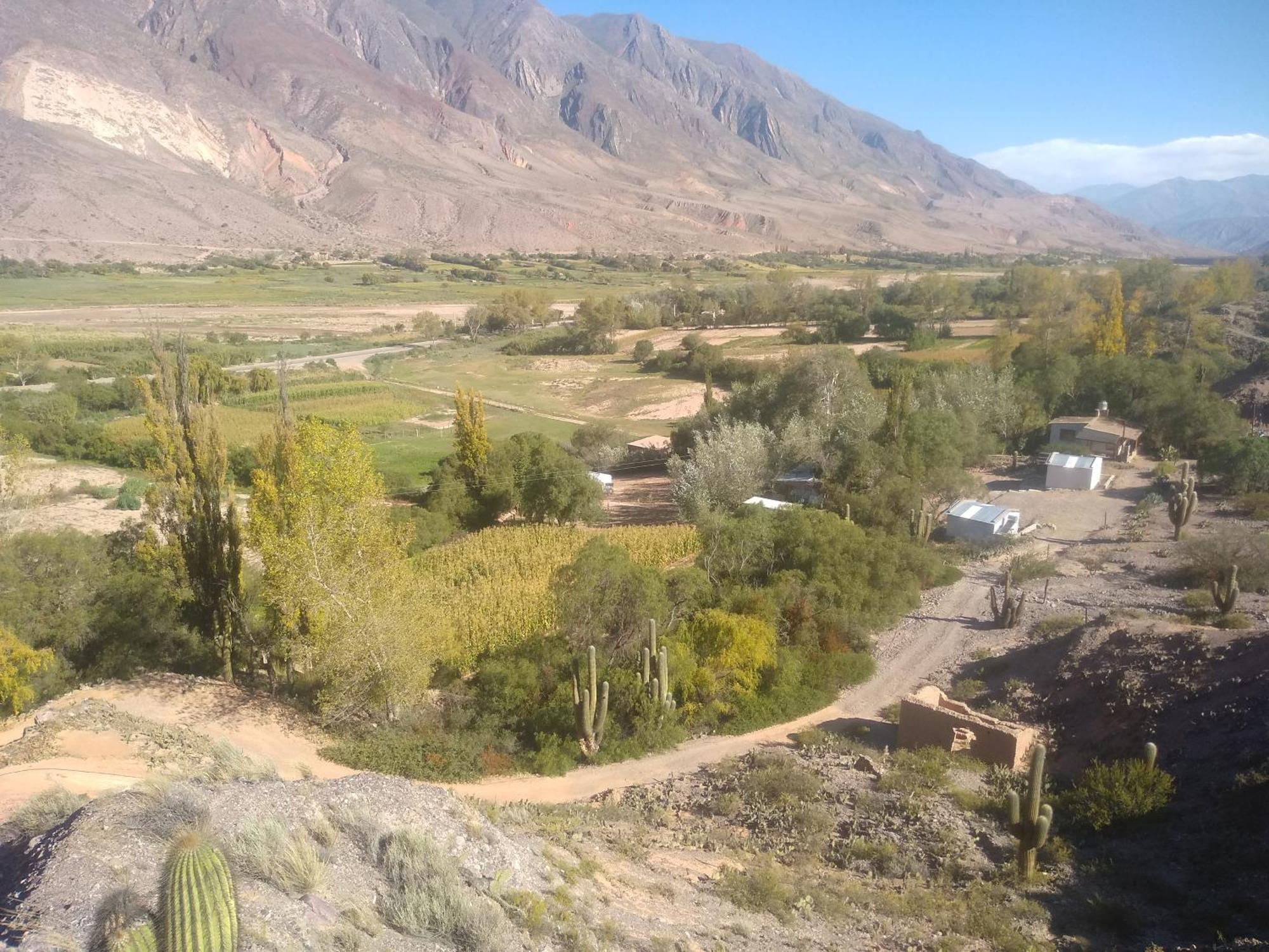 Dormir Con Llamas Maimará Kültér fotó