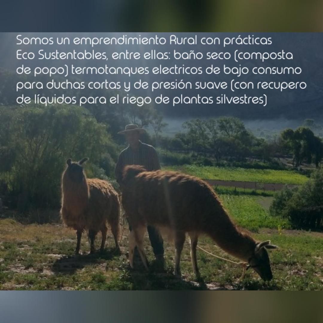 Dormir Con Llamas Maimará Kültér fotó